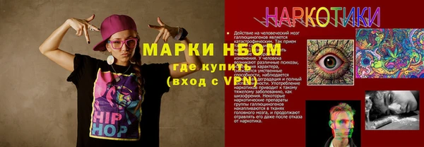 молекула духа Арсеньев