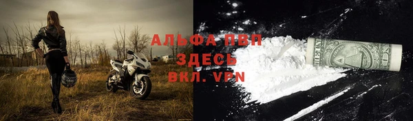 молекула духа Арсеньев