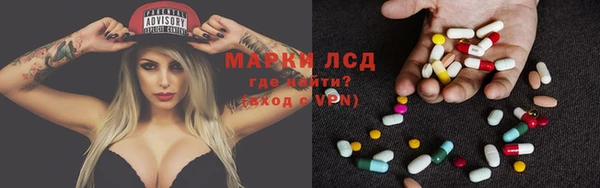 молекула духа Арсеньев