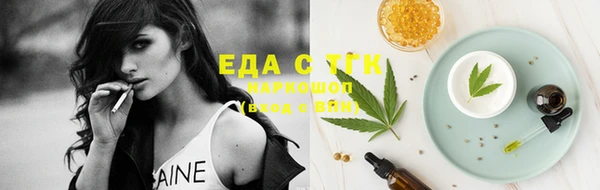 молекула духа Арсеньев