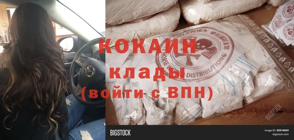 молекула духа Арсеньев