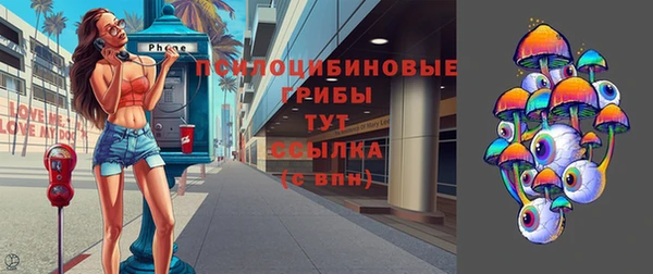 молекула духа Арсеньев