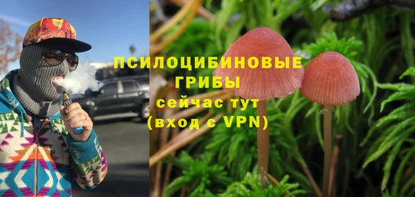 мяу мяу мука Армянск