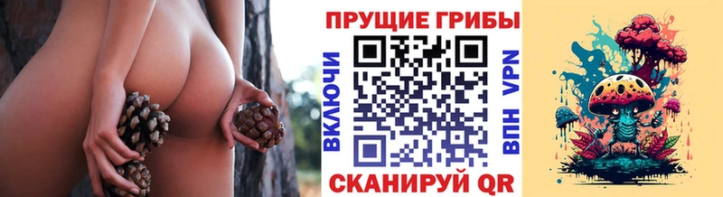 Галлюциногенные грибы мицелий Багратионовск